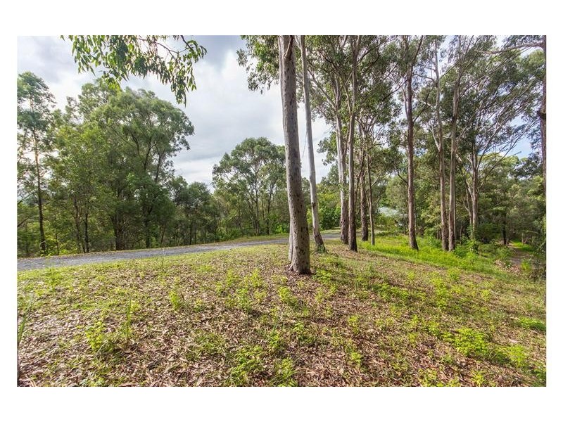 41 Witheren Road, Clagiraba QLD 4211