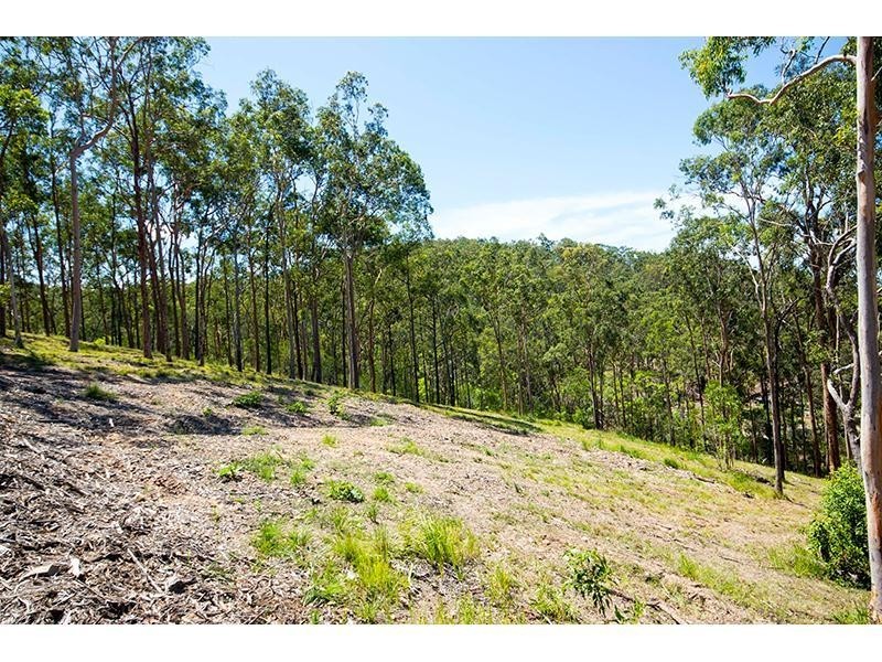 158 Ridgeline Court, Mount Nathan QLD 4211