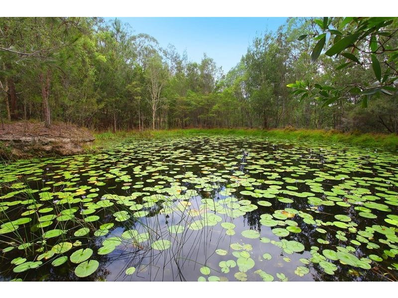 79 Mount Nathan Road, Mount Nathan QLD 4211