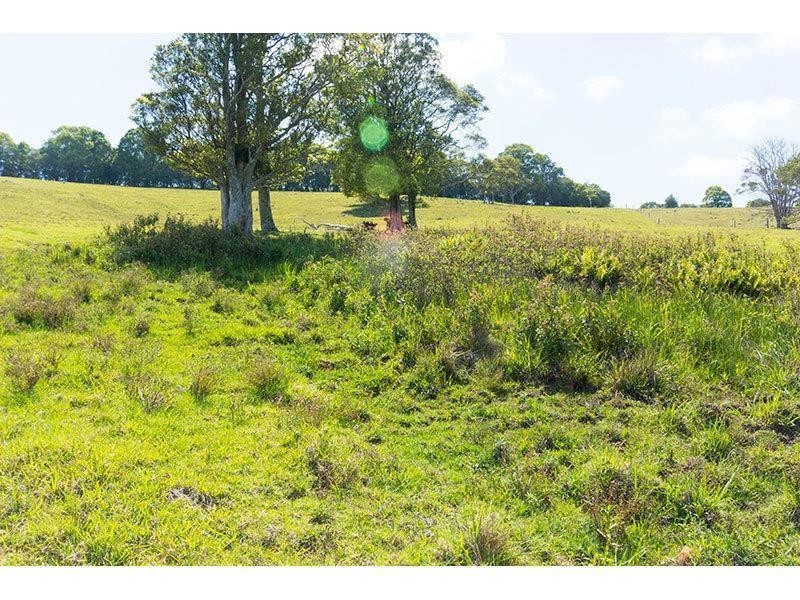 Lot 12, L12 152 Binna Burra Road, Beechmont QLD 4211