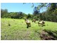 2 Coral Court, Canungra QLD 4275