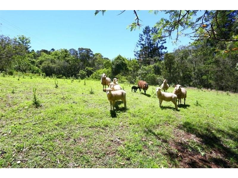 2 Coral Court, Canungra QLD 4275