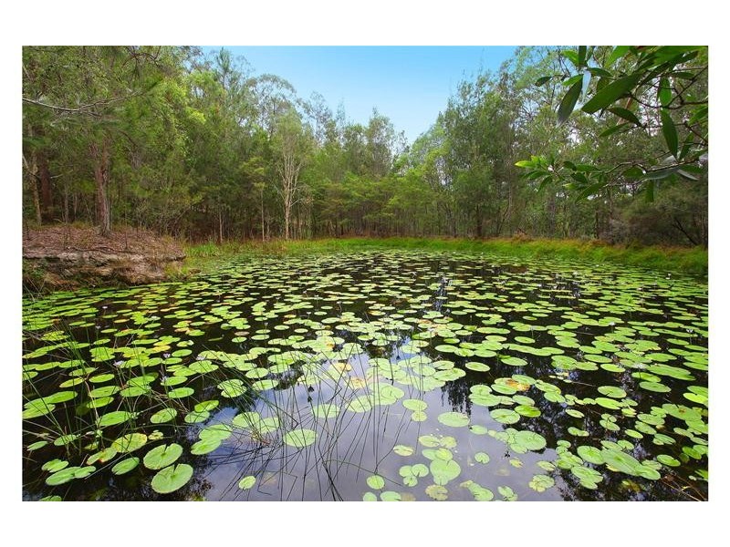 79 Mount Nathan Road, Mount Nathan QLD 4211