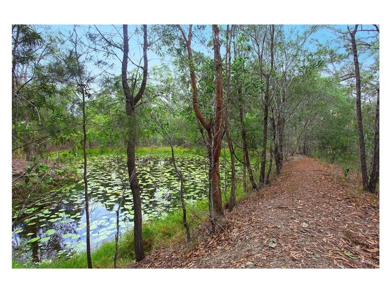 79 Mount Nathan Road, Mount Nathan QLD 4211