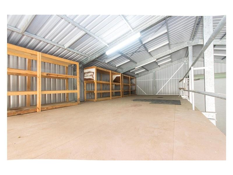 226 Crane Crescent, Nerang QLD 4211