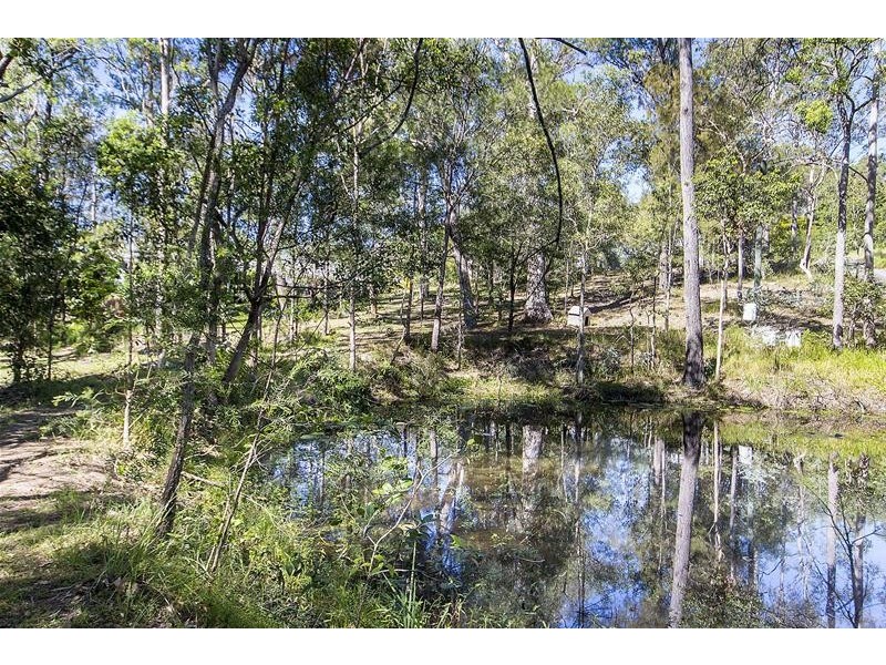 29 Pademelon Pass, Nerang QLD 4211