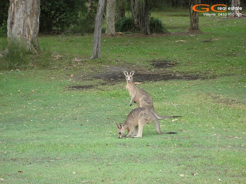 28 Allinga Street, Coombabah QLD 4216