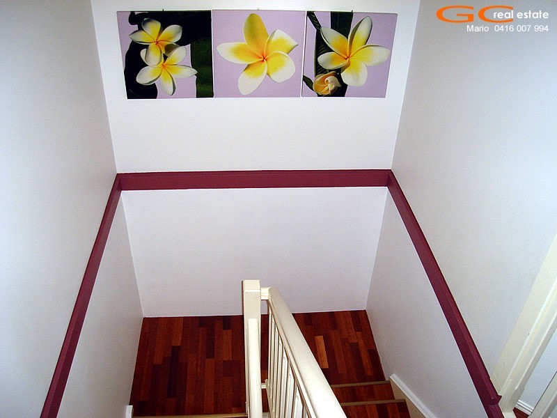 49/469 Pine Ridge Road, Runaway Bay QLD 4216