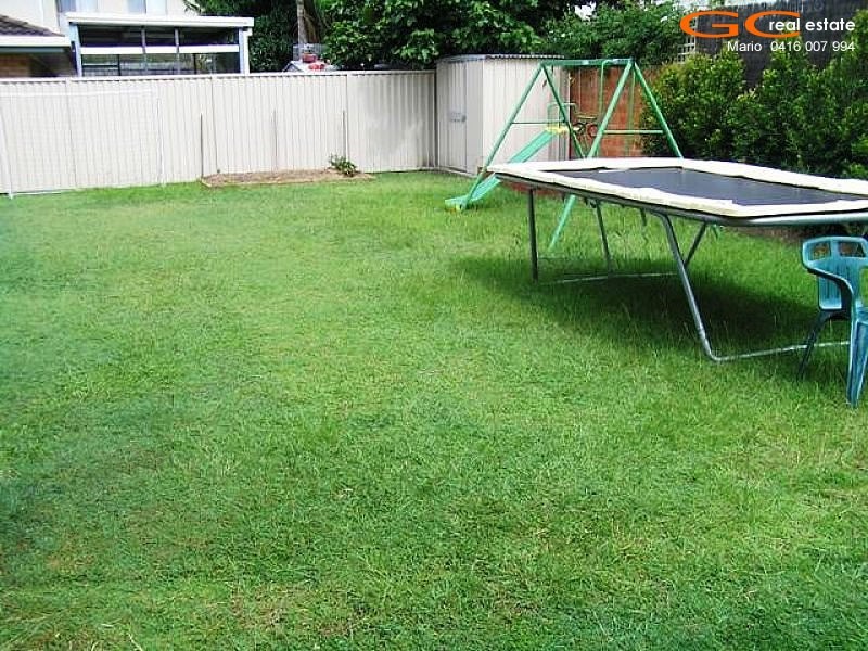 19 Ray Street, Runaway Bay QLD 4216