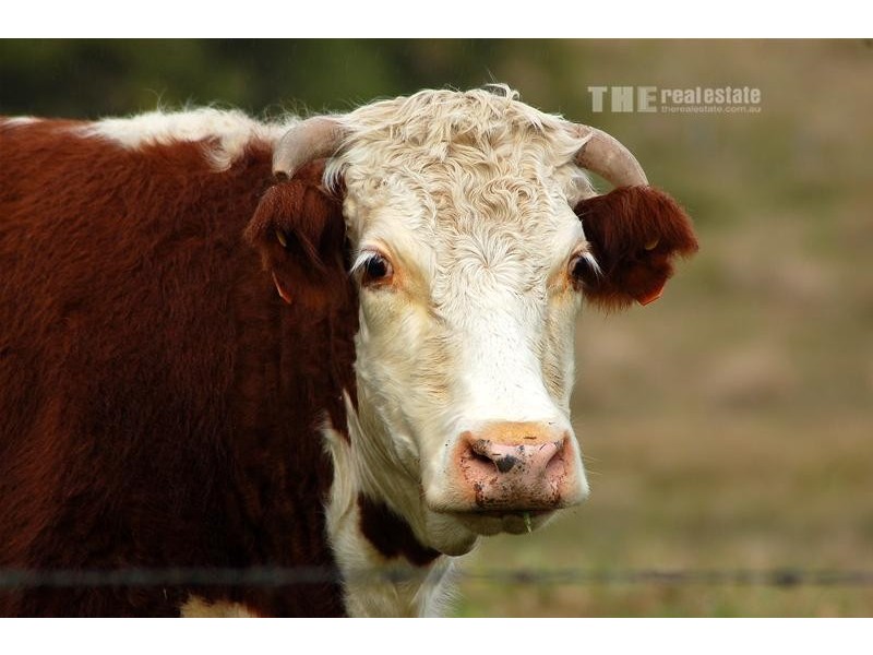 53 Tucki Road, Tucki Tucki NSW 2480