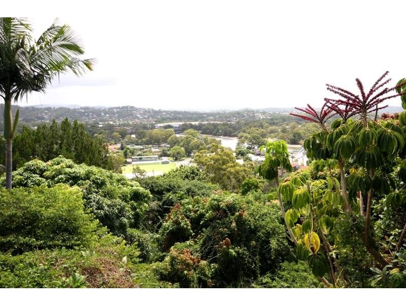 16 Albany Avenue, Currumbin QLD 4223