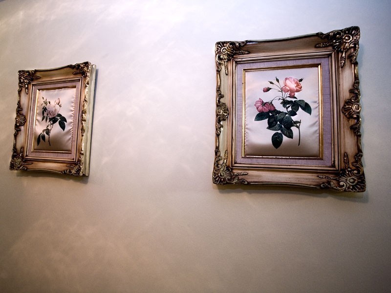 7 Adams Avenue, Miami QLD 4220