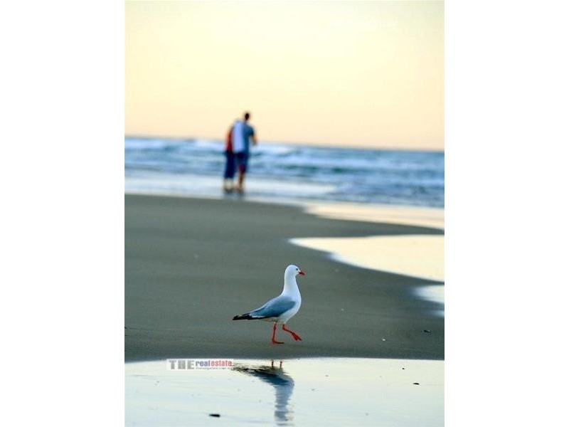 7 Joan Street, Burleigh Waters QLD 4220