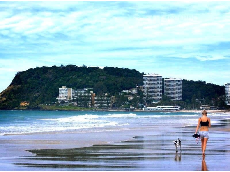 19 Clinton Avenue, Burleigh Waters QLD 4220