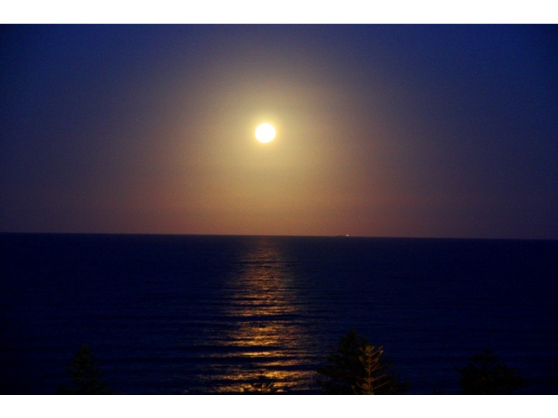 2131/2-14 The Esplanade, Burleigh Heads QLD 4220