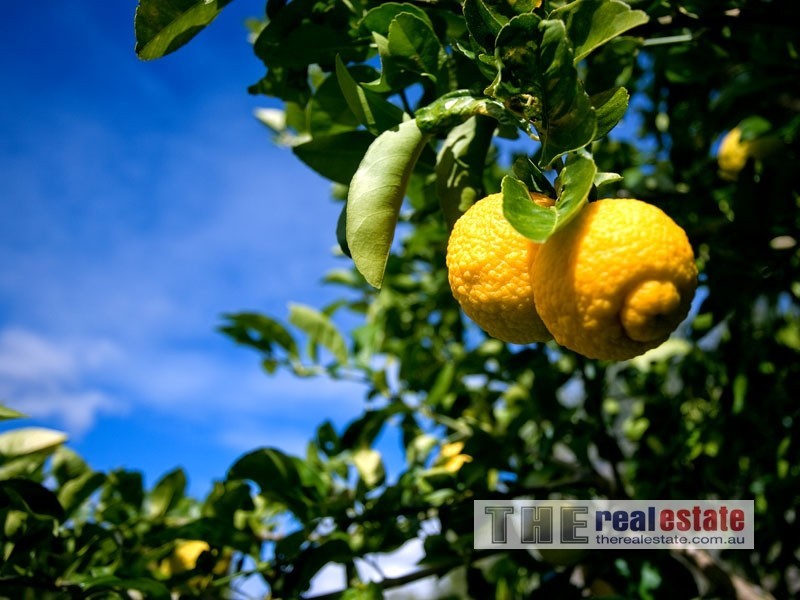 95 Bridgman Drive, Reedy Creek QLD 4227