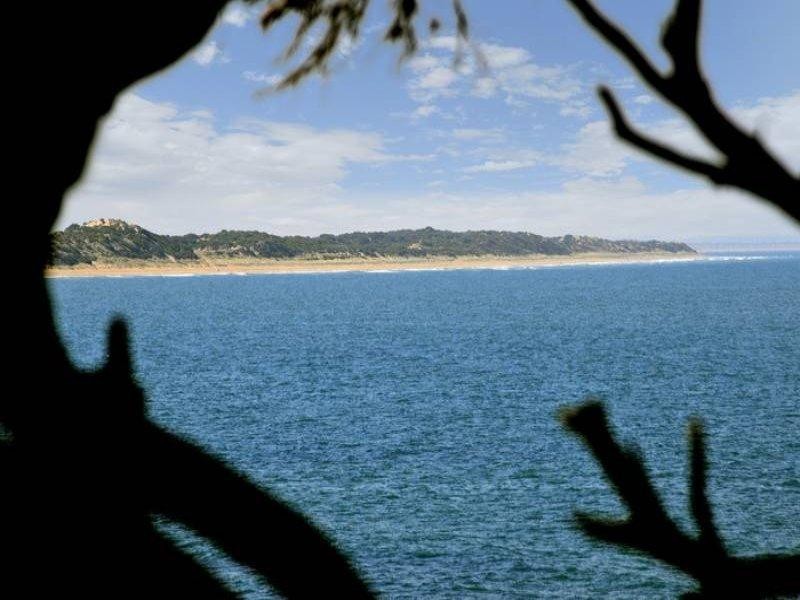 5/20 Spring Street, Torquay VIC 3228