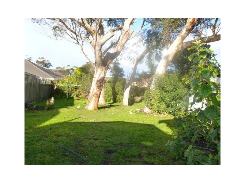 35 Beales Street, Torquay VIC 3228