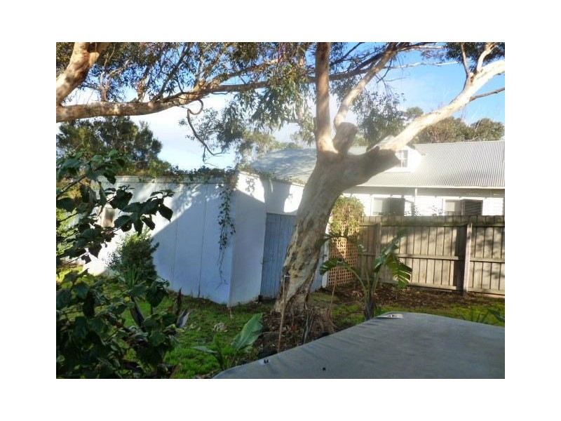 35 Beales Street, Torquay VIC 3228