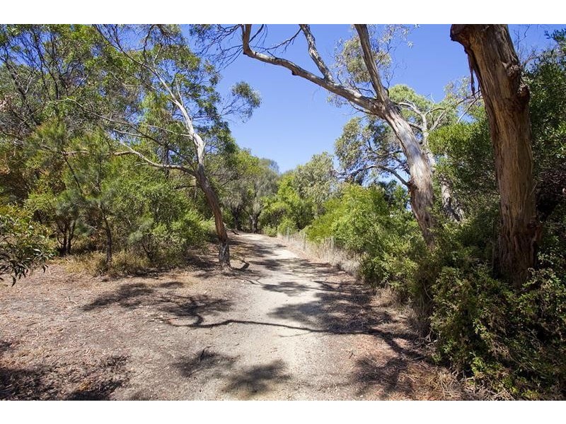 86 Fischer Street, Torquay VIC 3228