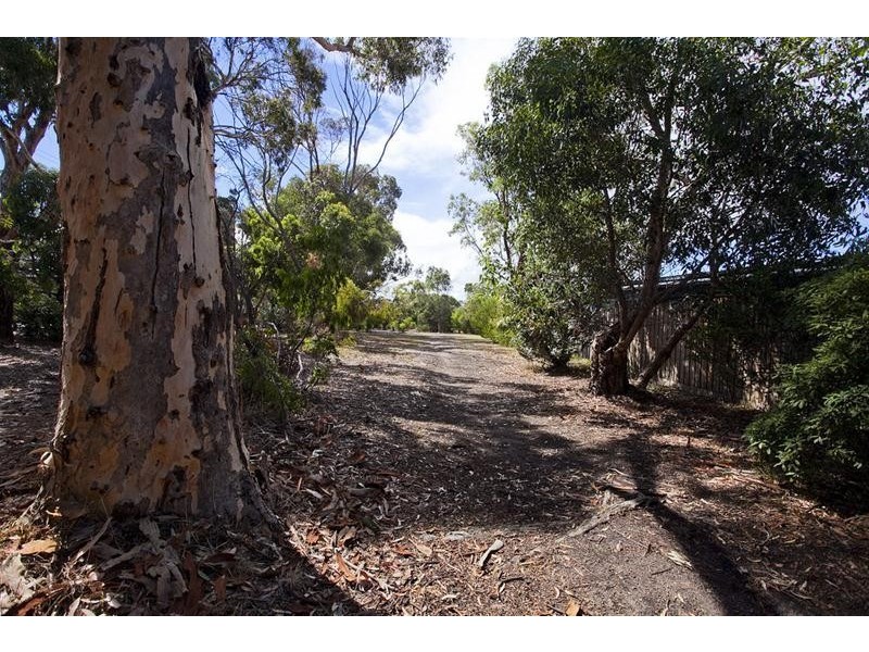 80 Grandview Road, Torquay VIC 3228