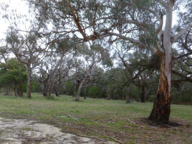 105 Bones Road, Jan Juc VIC 3228