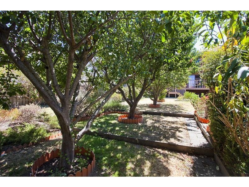 86 Fischer Street, Torquay VIC 3228