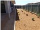 41 Ettrick Circuit, South Hedland WA 6722