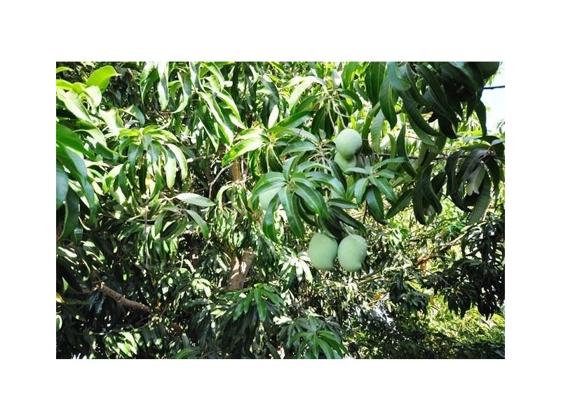 65 Stanley Street, South Hedland WA 6722