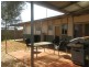 43B Nimingarra Drive,, Newman WA 6753