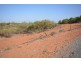 Lot 5 Manilinha Drive, Boodarie WA 6722