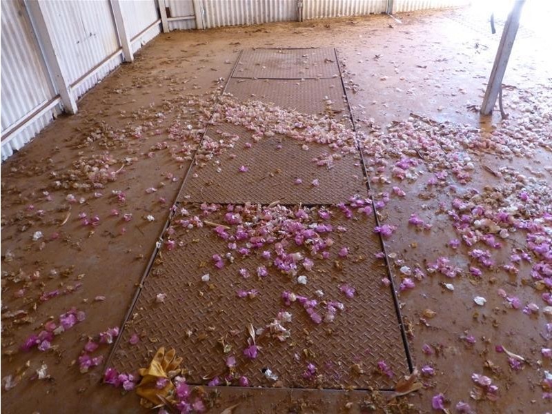 1 Yarrunga Crescent, South Hedland WA 6722