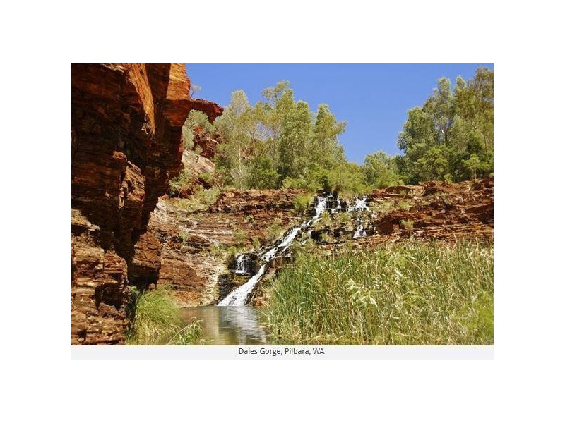 23 Gallop, Nullagine WA 6758