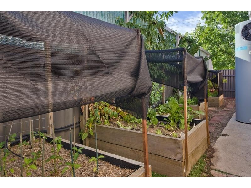 20 English Avenue, Clovelly Park SA 5042