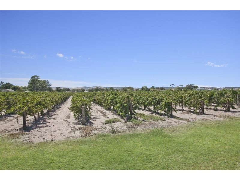 55 Summer Street, Mclaren Flat SA 5171