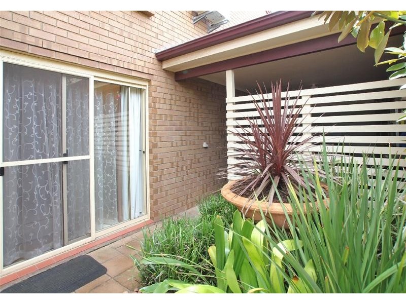 45 McInerney Avenue, Mitchell Park SA 5043