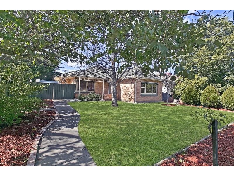 17 Rotorua Avenue, Park Holme SA 5043