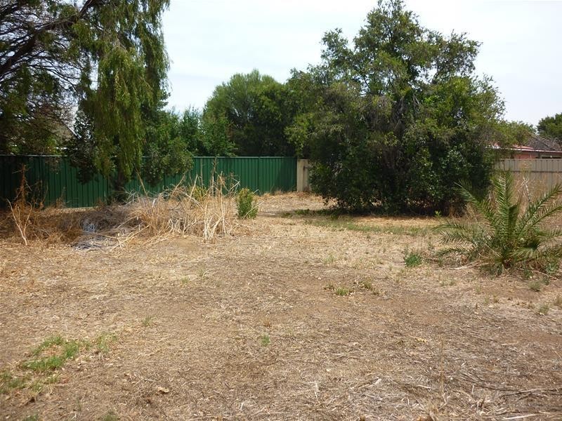 13 Wheaton Road, Plympton SA 5038