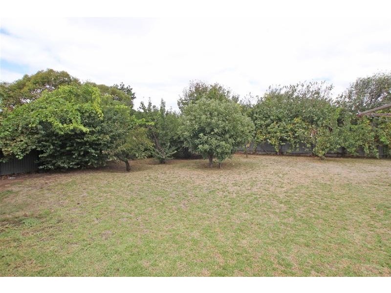 17 Andrew Avenue, Marion SA 5043