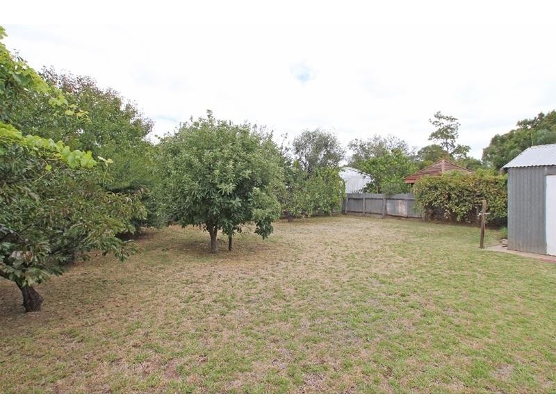 17 Andrew Avenue, Marion SA 5043