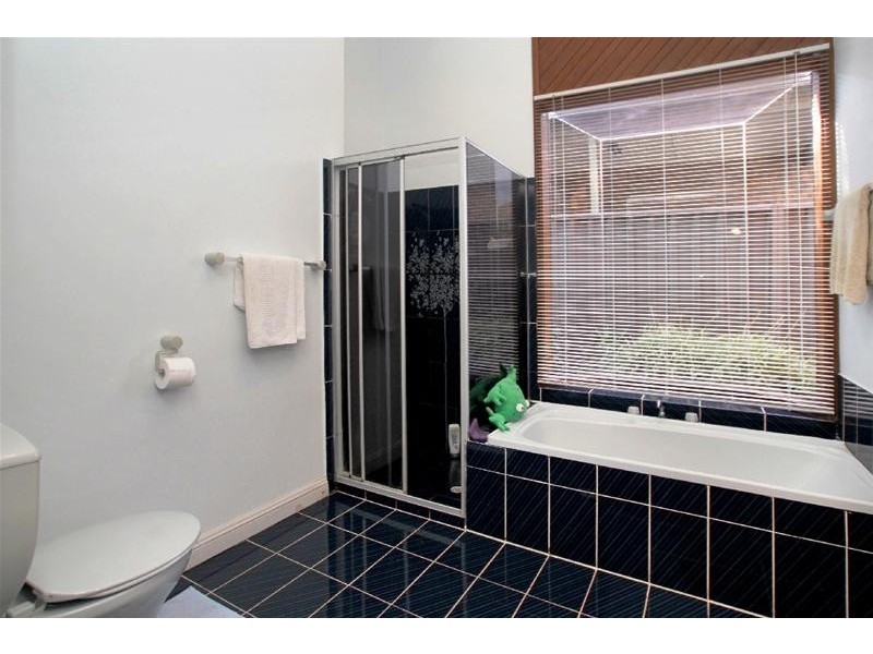 56 Torresan Crescent, Flagstaff Hill SA 5159