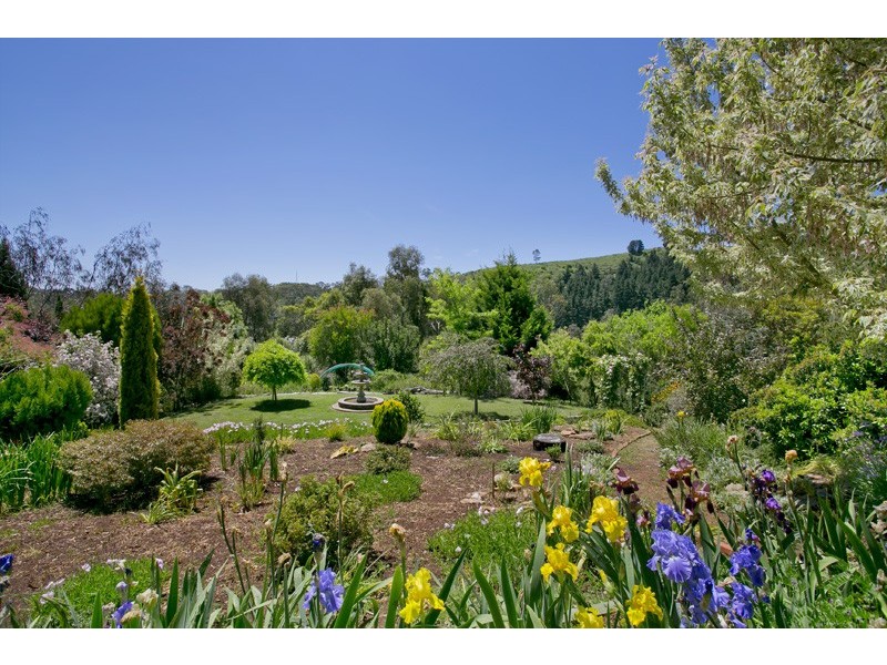 38 Hollands Creek Road, Cudlee Creek SA 5232