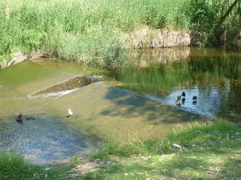 79-81 White Avenue, Lockleys SA 5032