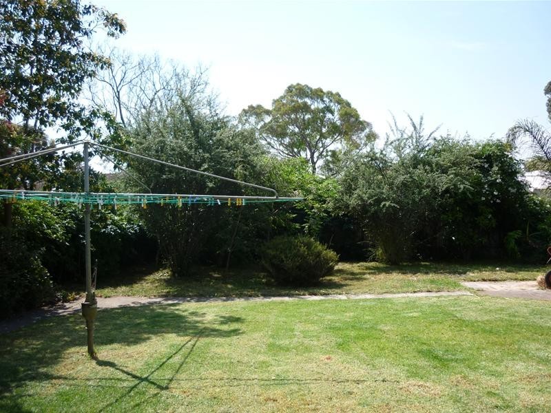 17 George Street, Marion SA 5043