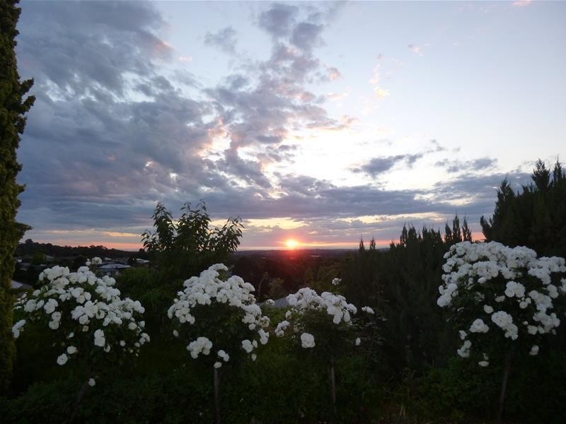 11 Highfield Drive, Aberfoyle Park SA 5159