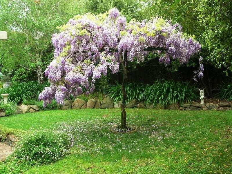 37 Fredrick Drive, Woodcroft SA 5162