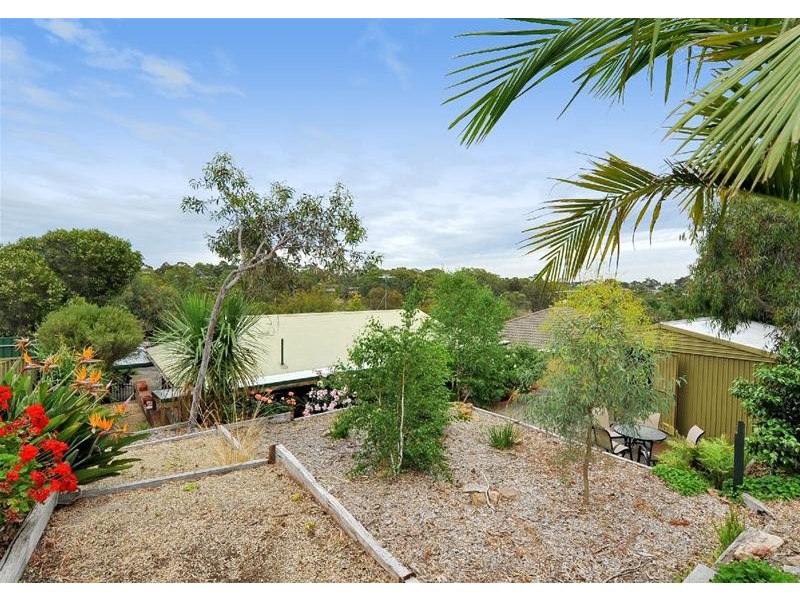 11 Banksia Road, Aberfoyle Park SA 5159