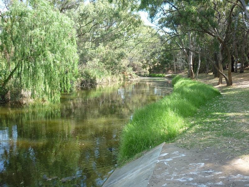 81 White Avenue, Lockleys SA 5032