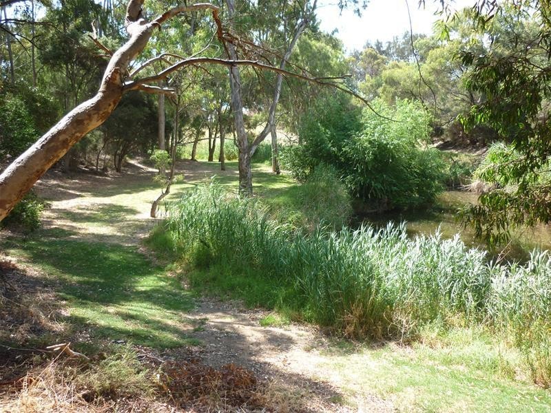 81 White Avenue, Lockleys SA 5032