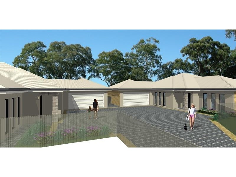 81 White Avenue, Lockleys SA 5032